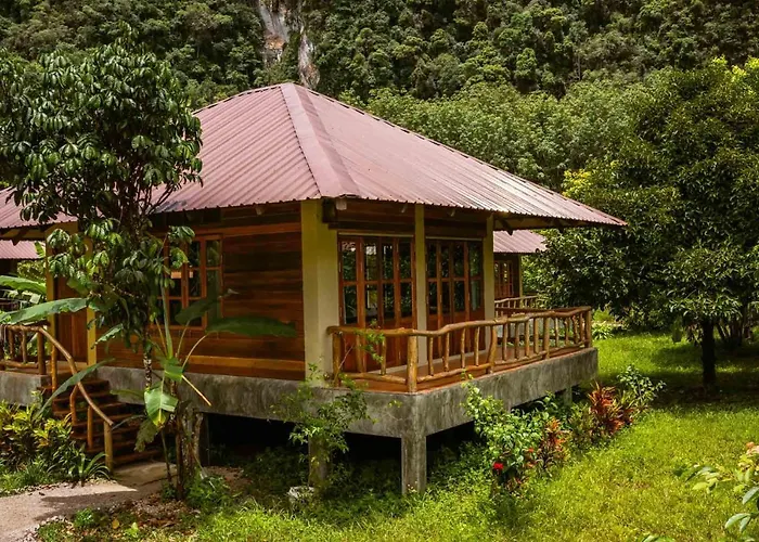Monkey Mansion - Jungalows & Tours