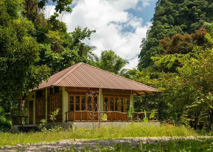 Monkey Mansion - Jungalows & Tours